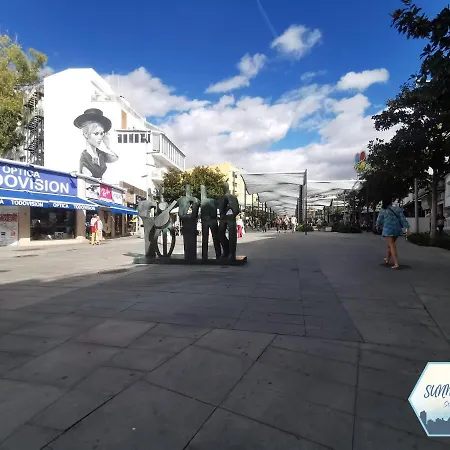 Sunny Centro *